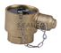 Instanteneous Adapter John Morris Fire Female Hose Coupling INST - BSP With Chain